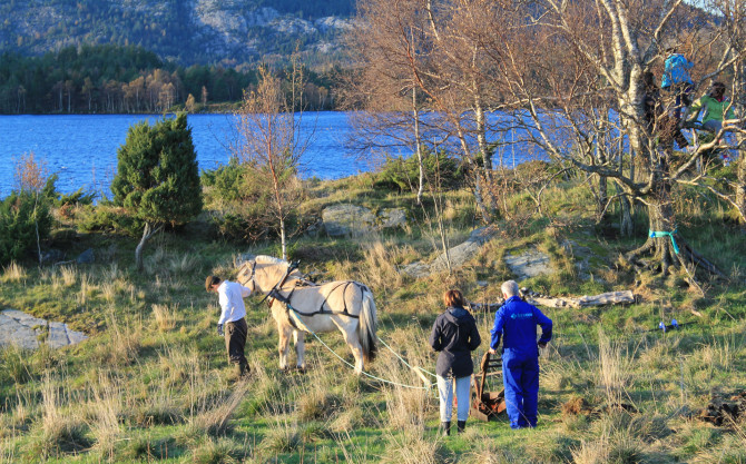 Eide Ecovillage - In harmony with nature.